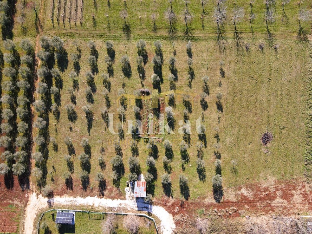 Ampio terreno edificabile a 8 km da Poreč